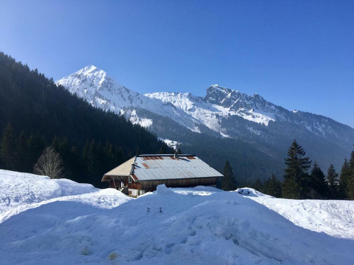Chalet Marmotte 2 Morzine Exterior photo