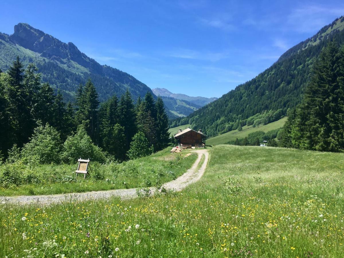 Chalet Marmotte 2 Morzine Exterior photo