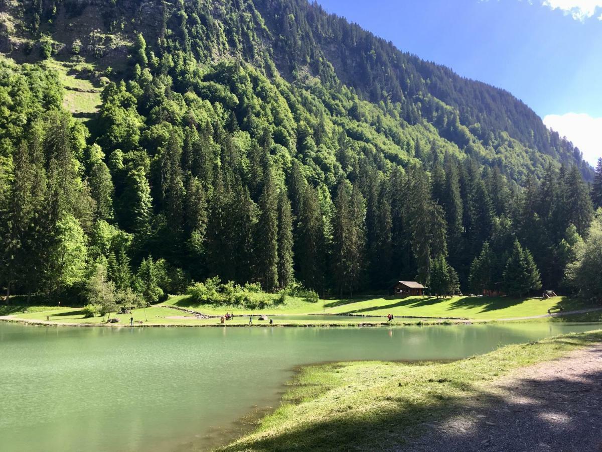 Chalet Marmotte 2 Morzine Exterior photo
